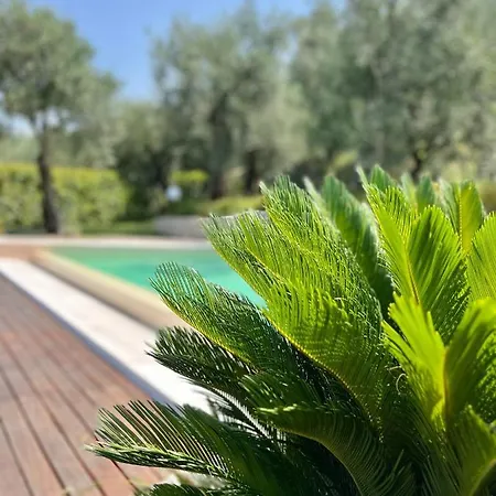 Adriana Casa de Férias